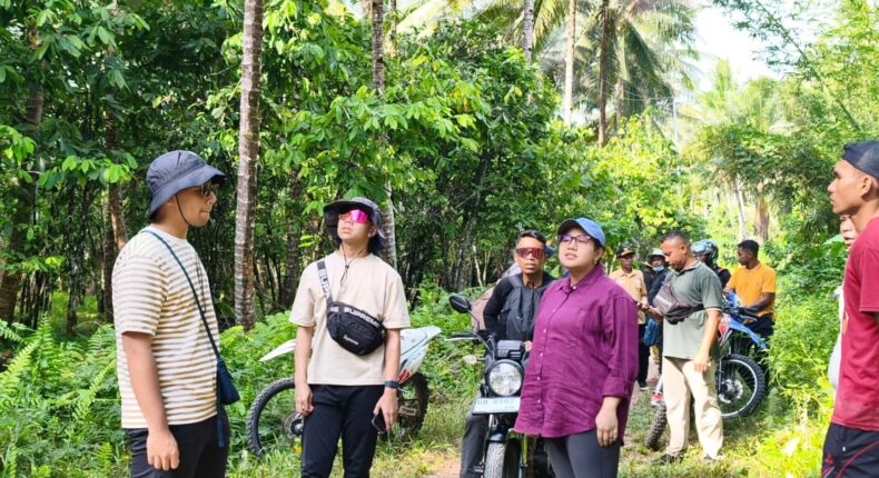 foto slider headline