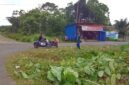 Lokasi Gotong Royong