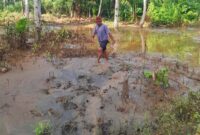 Banjir Kali Opyang