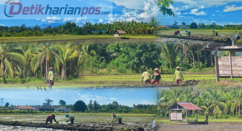 foto slider headline