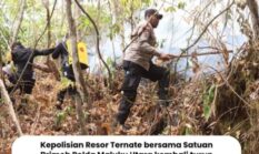 Asap Masih Mengepul, Personel Gabungan Kembali Berupaya Padamkan Karhutla di Tubo