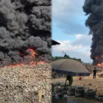 InShot_20260831_154920470