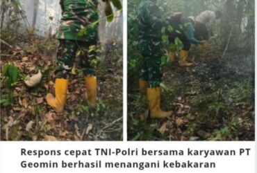 headline-foto