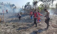 Karhutla Seluas Tiga Hektare di Desa Sawadai Petugas Gabungan Dan Masyarakat Gerak Cepat Padamkan Api