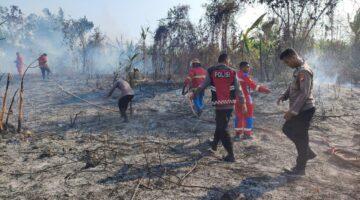 Karhutla Seluas Tiga Hektare di Desa Sawadai Petugas Gabungan Dan Masyarakat Gerak Cepat Padamkan Api