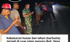 Api Berkobar hingga Larut Malam, TNI-Polri, PT JAS dan Warga Berusaha Padamkan Karhutla di Wasile Timur